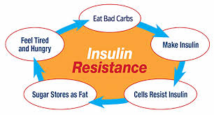insulinska rezistencija
